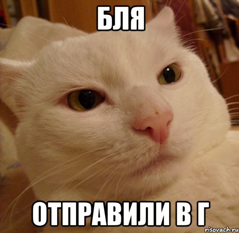 бля отправили в г