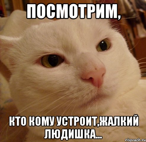 посмотрим, кто кому устроит,жалкий людишка...