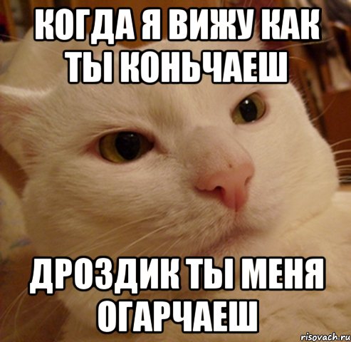 когда я вижу как ты коньчаеш дроздик ты меня огарчаеш