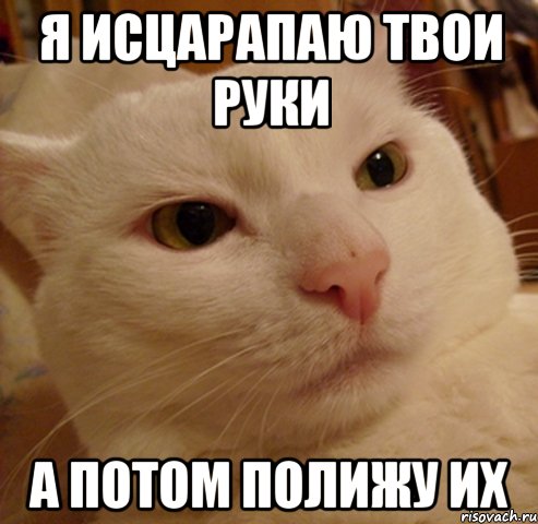 я исцарапаю твои руки а потом полижу их