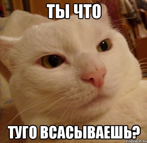 ты что туго всасываешь?