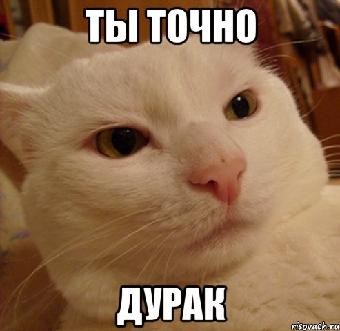 ты точно дурак