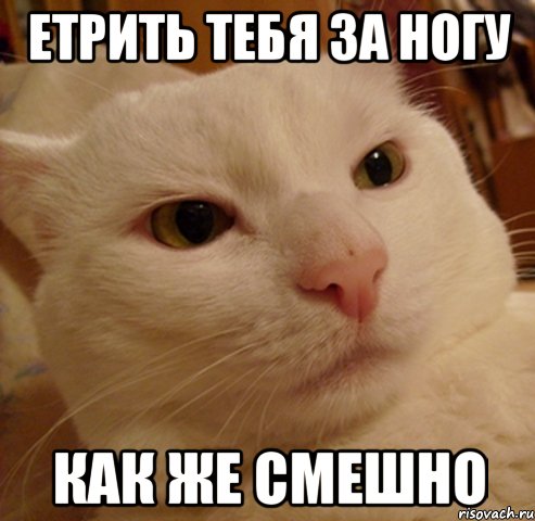 етрить тебя за ногу как же смешно