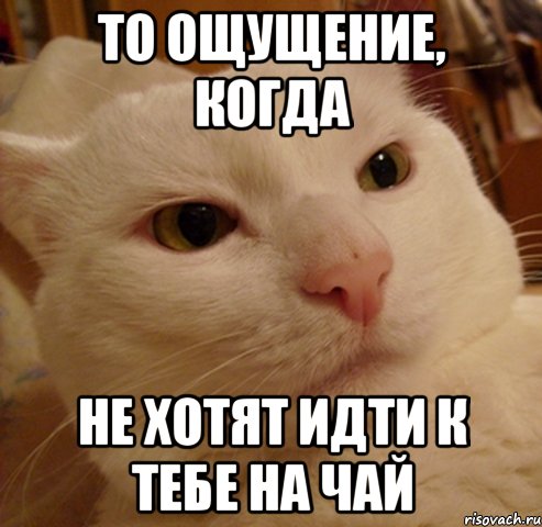 то ощущение, когда не хотят идти к тебе на чай