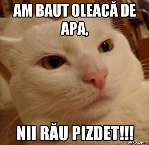am baut oleacă de apa, nii rău pizdet!!!