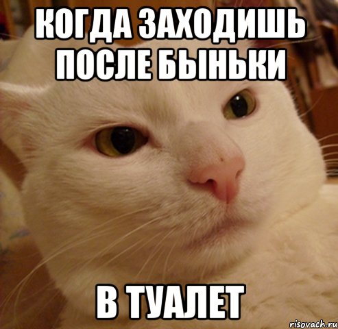 когда заходишь после быньки в туалет