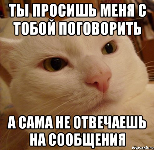 ты просишь меня с тобой поговорить а сама не отвечаешь на сообщения