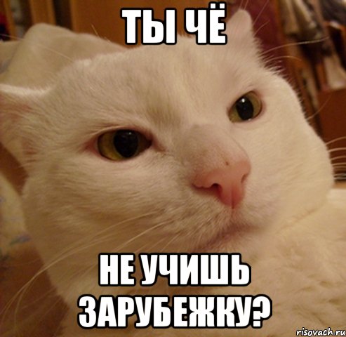 ты чё не учишь зарубежку?