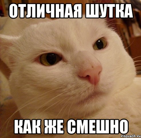 отличная шутка как же смешно