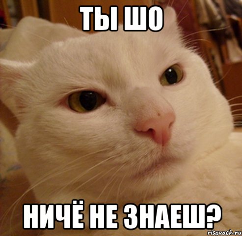 ты шо ничё не знаеш?