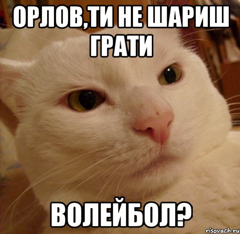 орлов,ти не шариш грати волейбол?