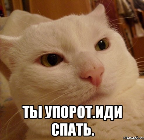  ты упорот.иди спать.