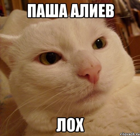 паша алиев лох