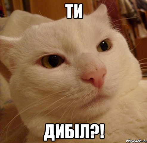 ти дибіл?!