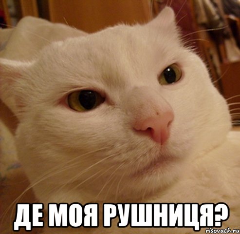 де моя рушниця?