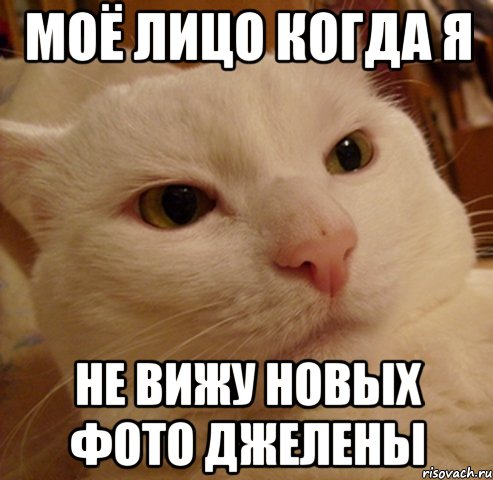моё лицо когда я не вижу новых фото джелены