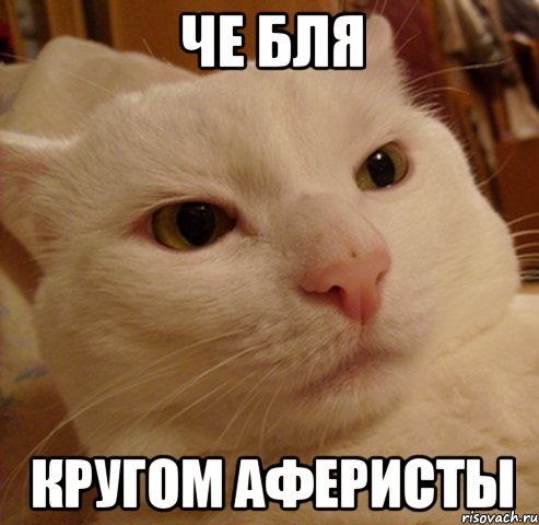 че бля кругом аферисты