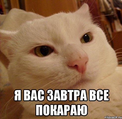  я вас завтра все покараю