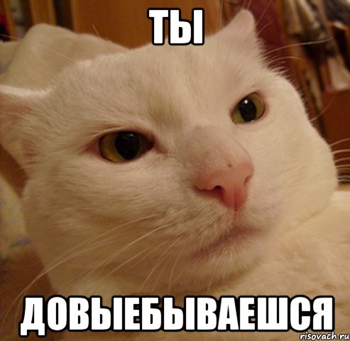 ты довыебываешся