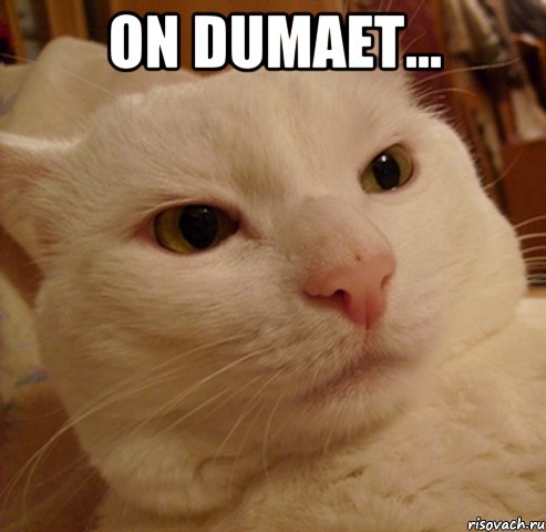 on dumaet... 