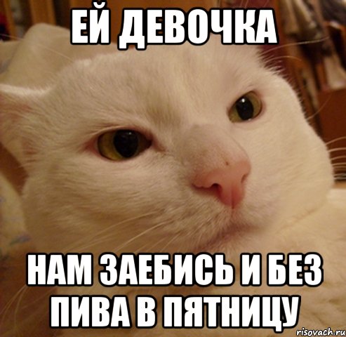 ей девочка нам заебись и без пива в пятницу