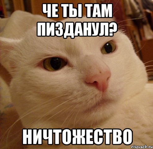 че ты там пизданул? ничтожество