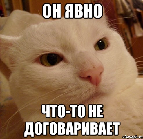 он явно что-то не договаривает