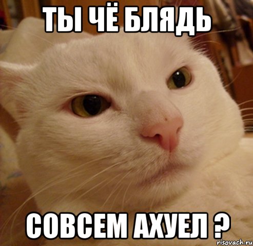 ты чё блядь совсем ахуел ?