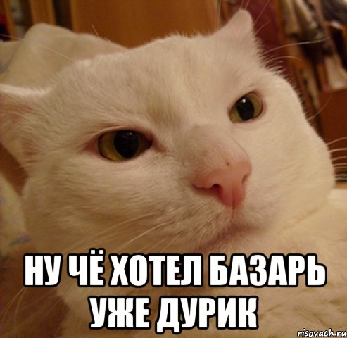  ну чё хотел базарь уже дурик