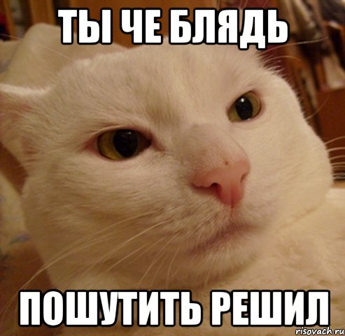 ты че блядь пошутить решил