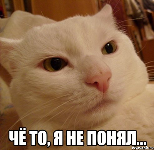  чё то, я не понял...