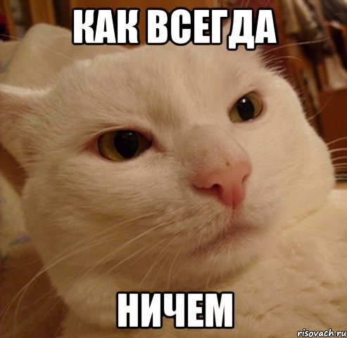 как всегда ничем