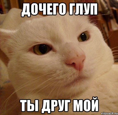 дочего глуп ты друг мой
