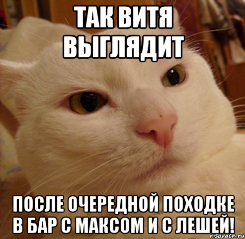 так витя выглядит после очередной походке в бар с максом и с лешей!