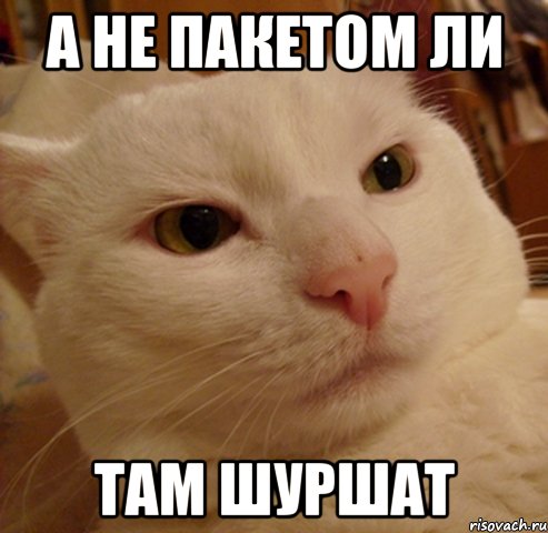 а не пакетом ли там шуршат