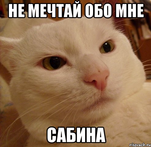 не мечтай обо мне сабина