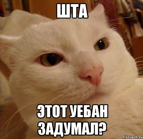 шта этот уебан задумал?