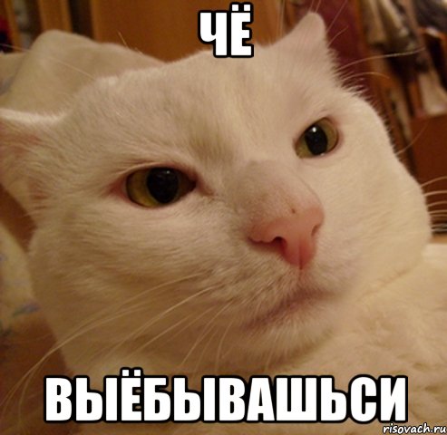 чё выёбывашьси