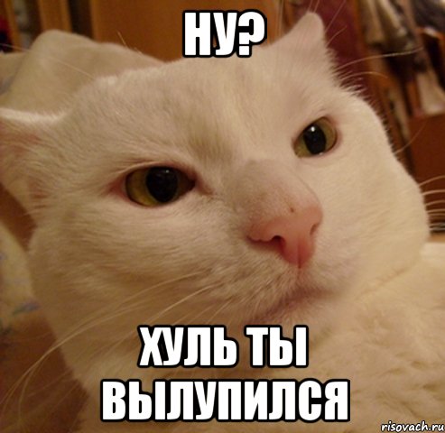 ну? хуль ты вылупился