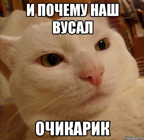 и почему наш вусал очикарик