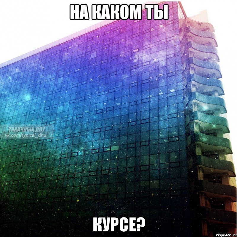 на каком ты курсе?