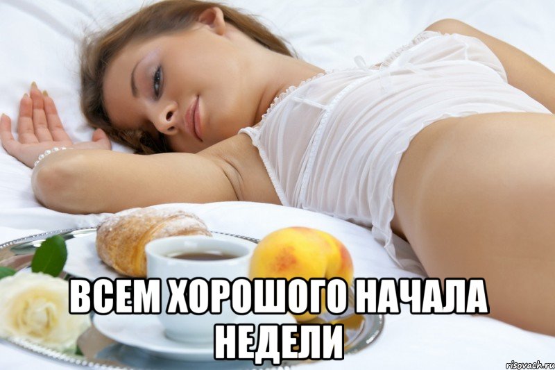  всем хорошого начала недели