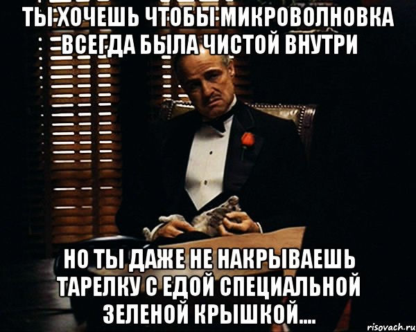 ты хочешь чтобы микроволновка всегда была чистой внутри но ты даже не накрываешь тарелку с едой специальной зеленой крышкой...., Мем Дон Вито Корлеоне