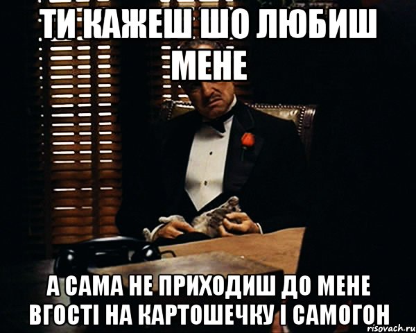 ти кажеш шо любиш мене а сама не приходиш до мене вгості на картошечку і самогон, Мем Дон Вито Корлеоне