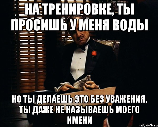 на тренировке, ты просишь у меня воды но ты делаешь это без уважения, ты даже не называешь моего имени, Мем Дон Вито Корлеоне