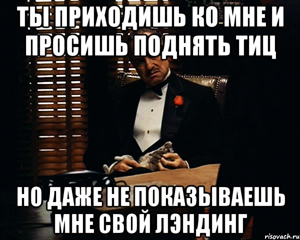 ты приходишь ко мне и просишь поднять тиц но даже не показываешь мне свой лэндинг, Мем Дон Вито Корлеоне