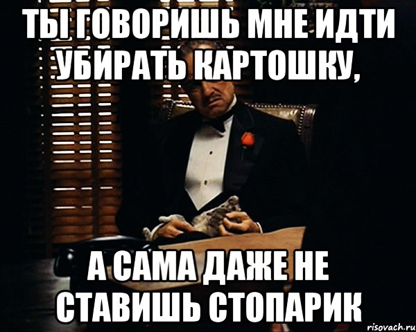 ты говоришь мне идти убирать картошку, а сама даже не ставишь стопарик, Мем Дон Вито Корлеоне