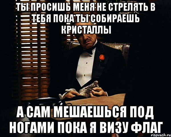 ты просишь меня не стрелять в тебя пока ты собираешь кристаллы а сам мешаешься под ногами пока я визу флаг, Мем Дон Вито Корлеоне