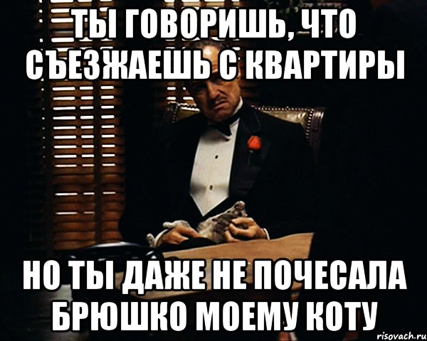 ты говоришь, что съезжаешь с квартиры но ты даже не почесала брюшко моему коту, Мем Дон Вито Корлеоне