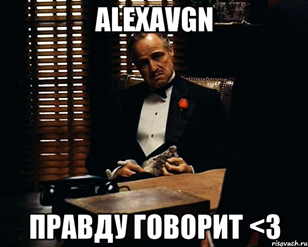 alexavgn правду говорит <3, Мем Дон Вито Корлеоне